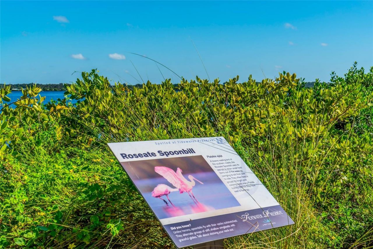 5709 Tidewater Preserve Boulevard, Bradenton, FL 34208 Photo