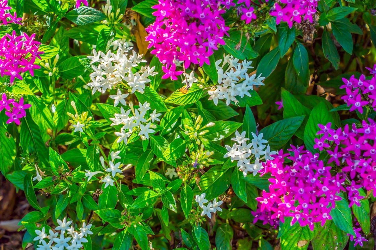 5709 Tidewater Preserve Boulevard, Bradenton, FL 34208 Photo