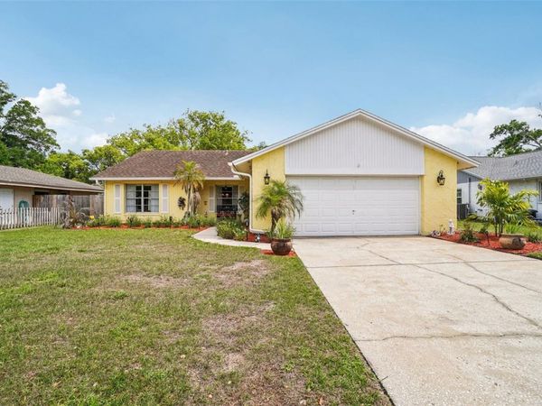 17803 SUNRISE DRIVE , LUTZ, FL 33549