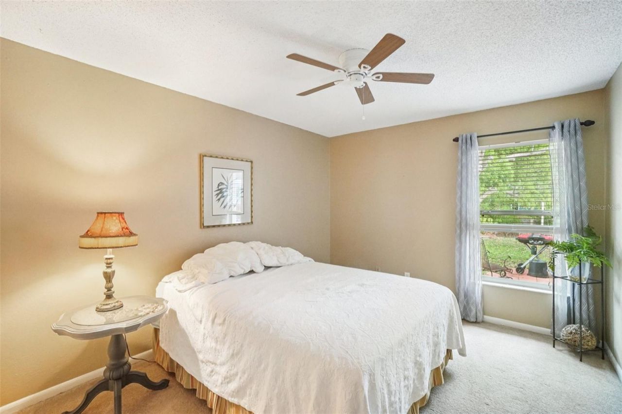 17803 Sunrise Drive, Lutz, FL 33549 Photo