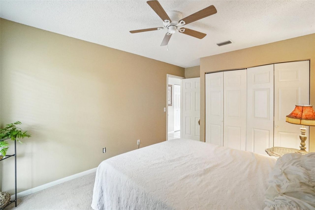 17803 Sunrise Drive, Lutz, FL 33549 Photo