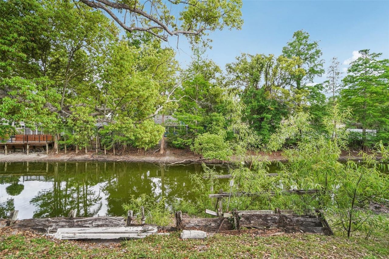 17803 Sunrise Drive, Lutz, FL 33549 Photo