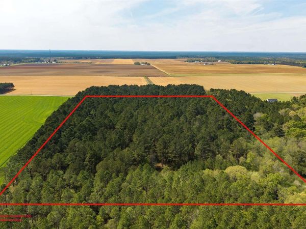 TBD Corley Rd, Walnut Hill, FL 32568