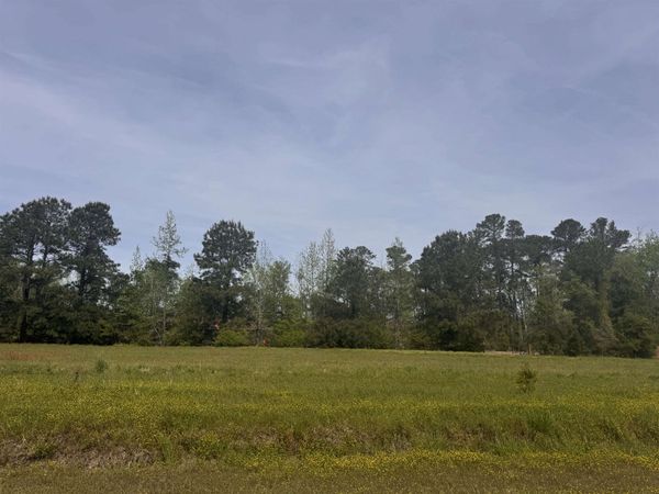 1991 Church Rd. , Green Sea, SC 29545
