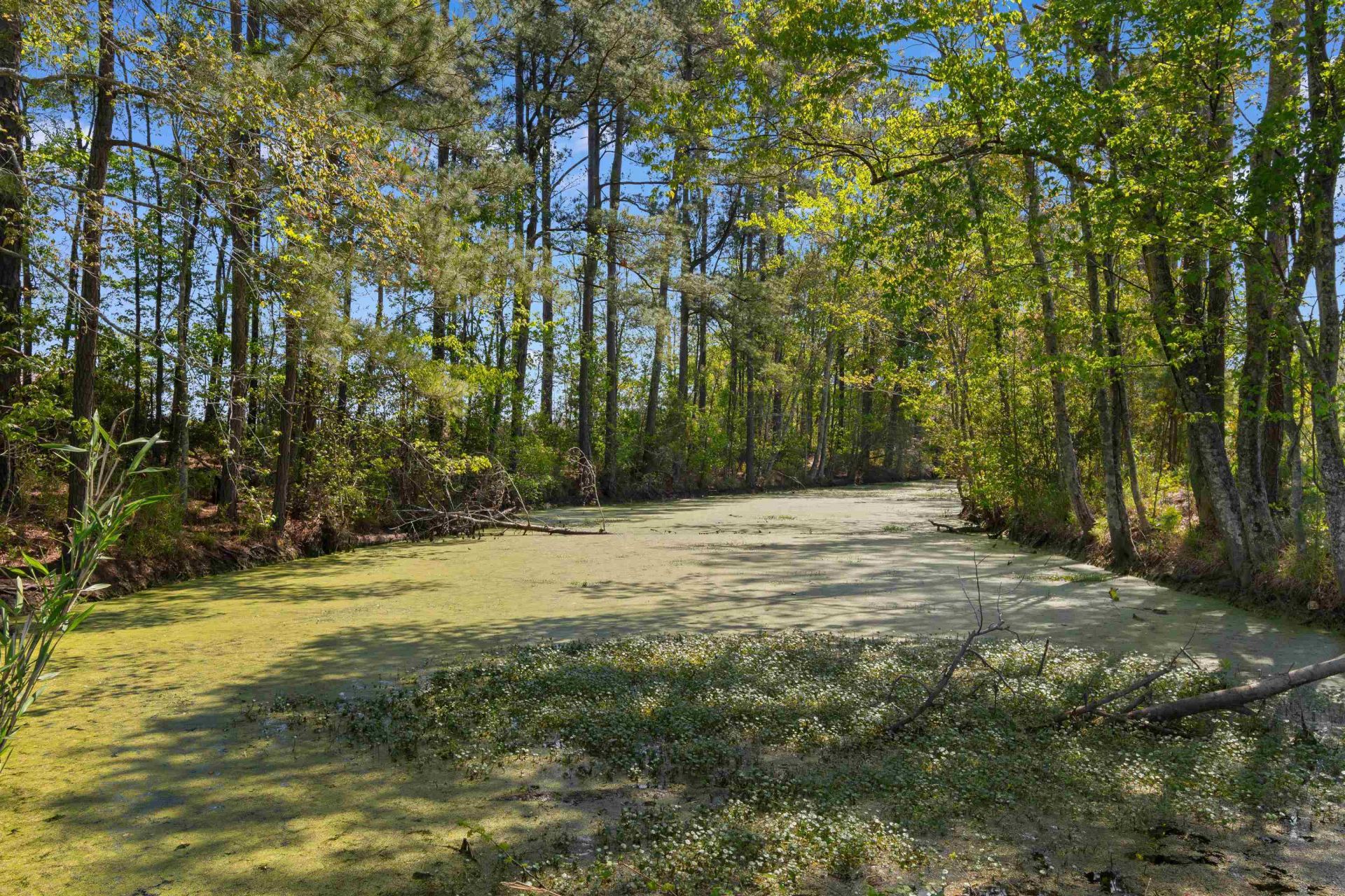 1991 Church Rd. Photo 41