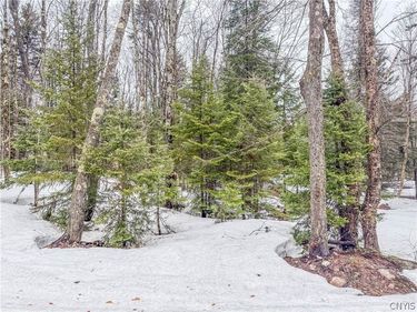 1715 Olin Road, Lowville, NY 13367