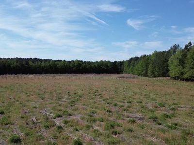 000 Jefferies Highway, Walterboro, SC 29488