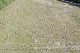 000 Jefferies Highway photo 4