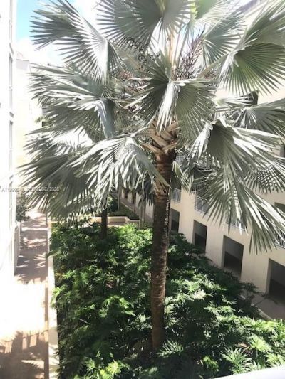 7275 SW 89th St , Unit B415, Miami, FL 33156 Photo