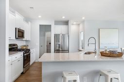 1052 Red Turnstone Run photo 4