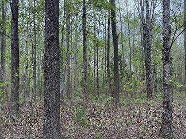 0 Farmville Road, Meherrin, VA 23954