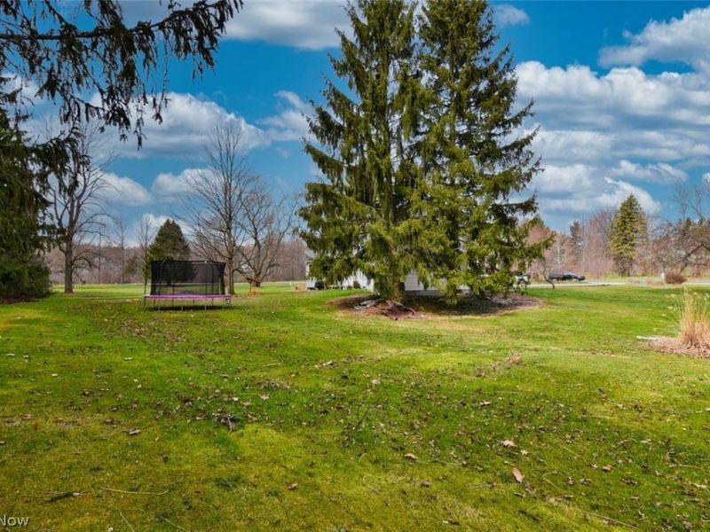 12395 Country Oaks Trail , Chardon, OH 44024 Photo 43