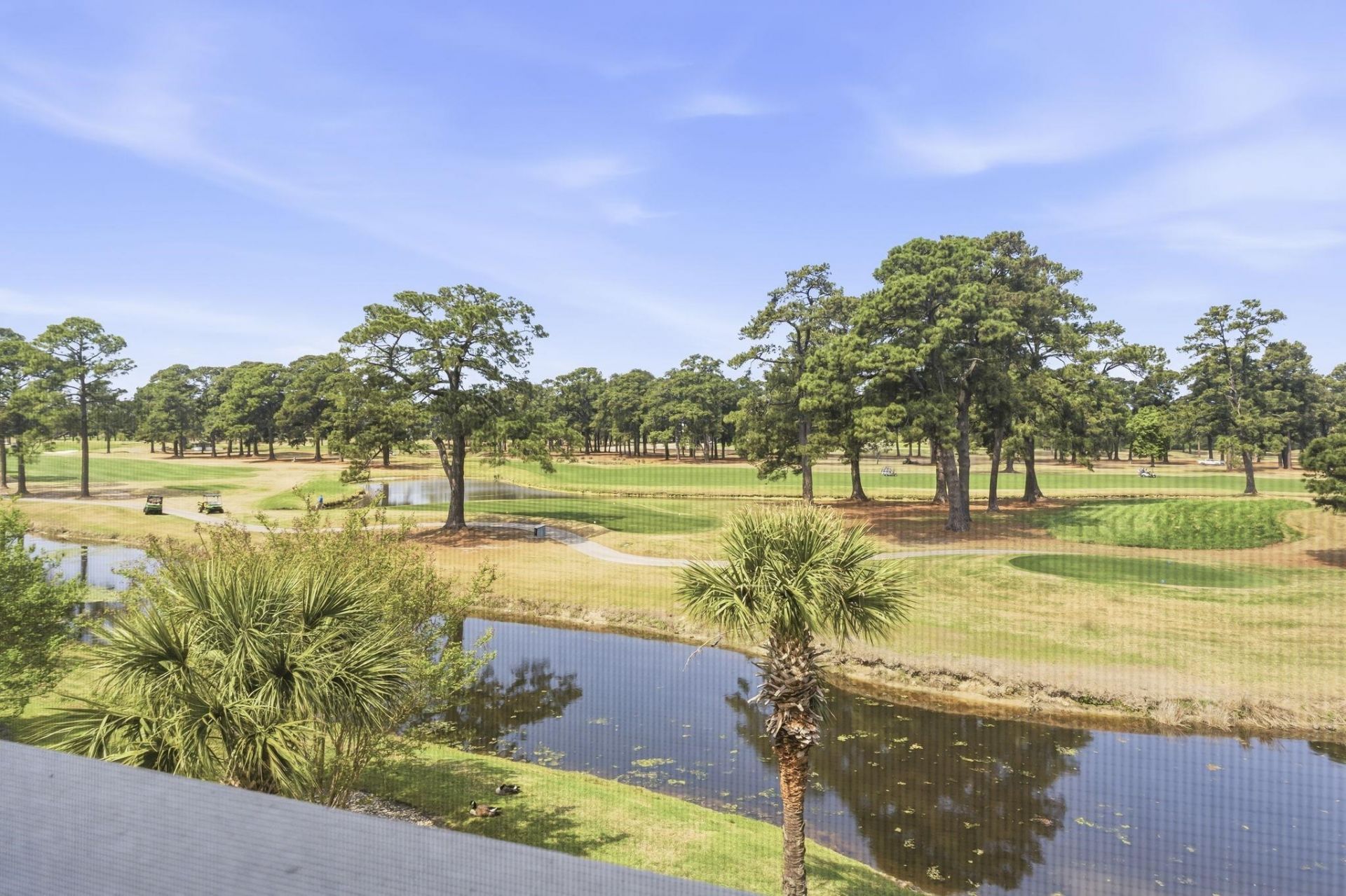 4761 Wild Iris Dr. Photo 26