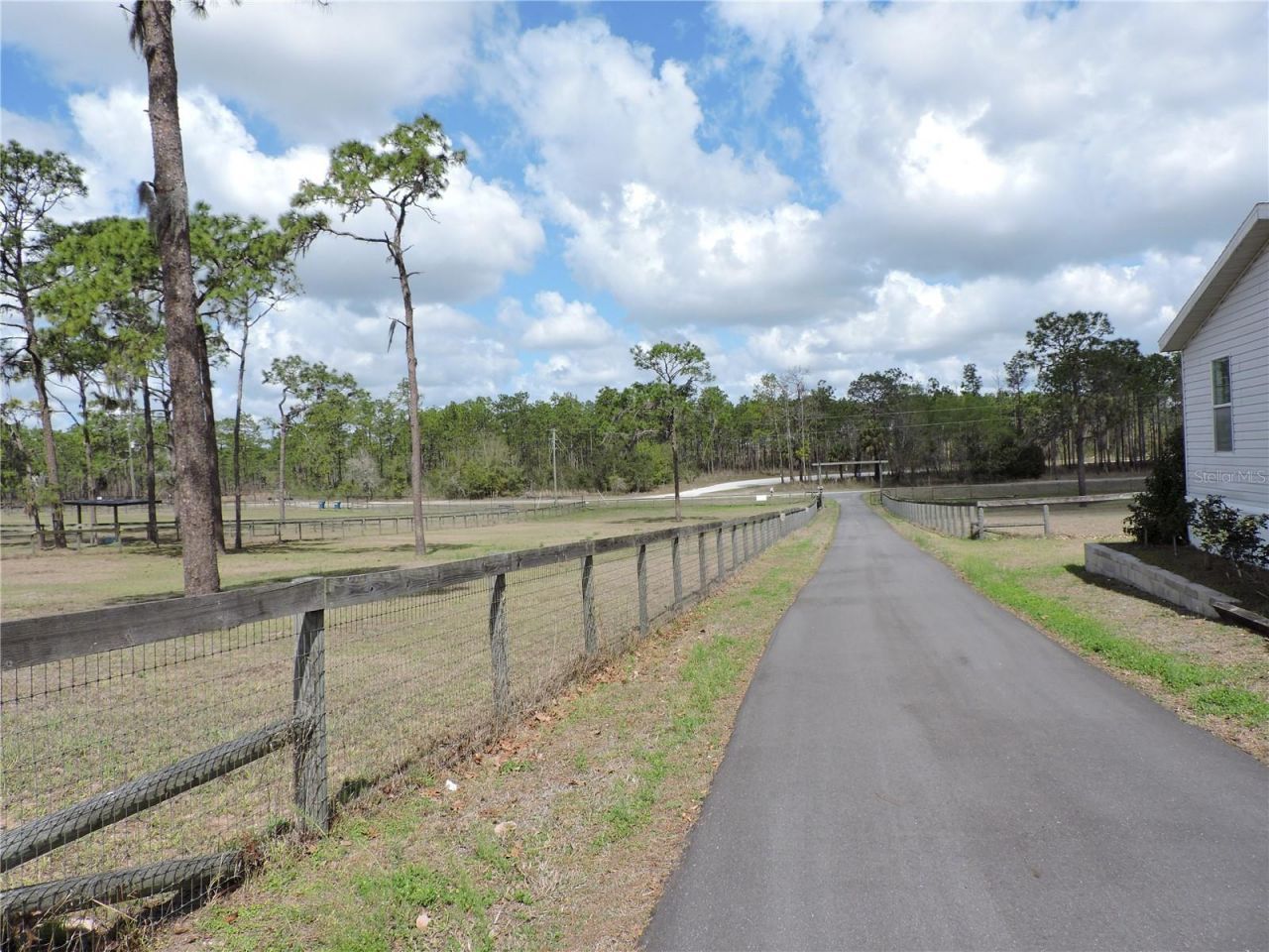 28448 Wildlife Lane , Brooksville, FL 34602 Photo