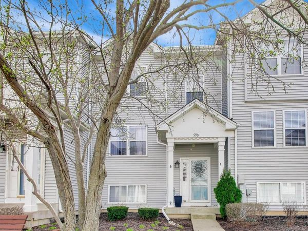 590 N Triumph Court, Hainesville, IL 60073