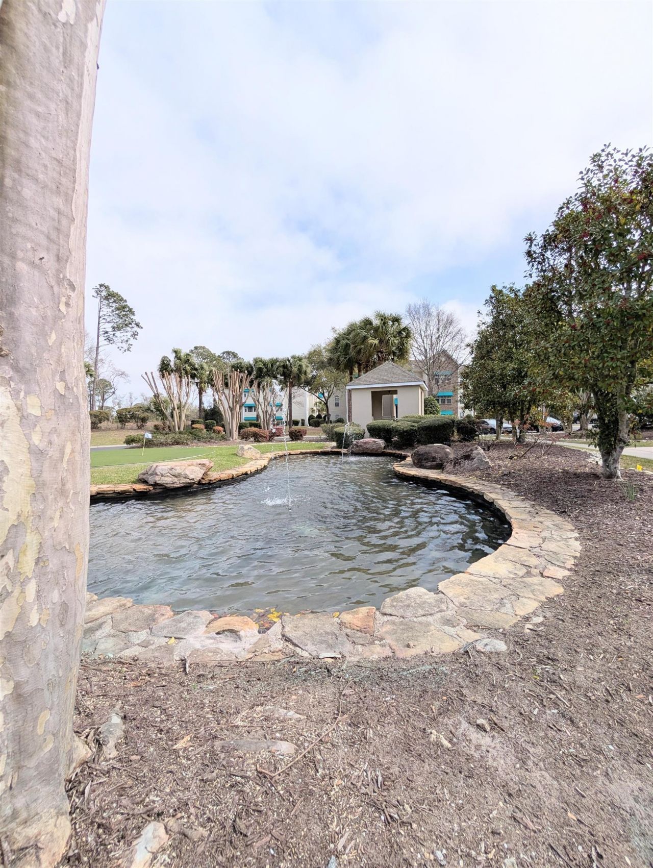 9772 Leyland Dr. Photo 24