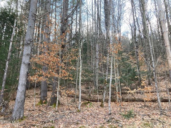 652 New Vermont Road, Bolton Landing, NY 12814