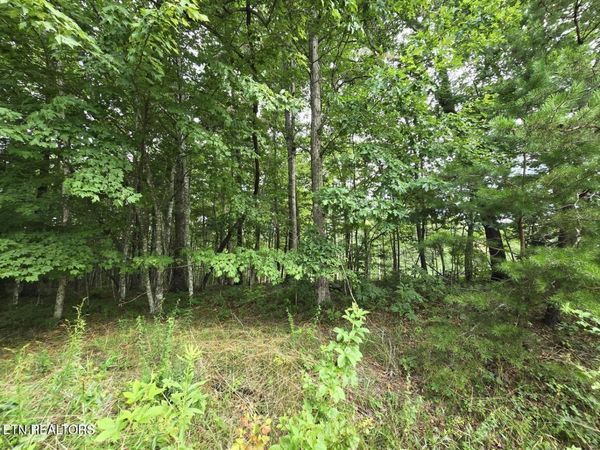 lot 244 Walking Horse Drive, Jamestown, TN 38556