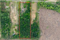 8197 Old Jacksonboro Road photo 4