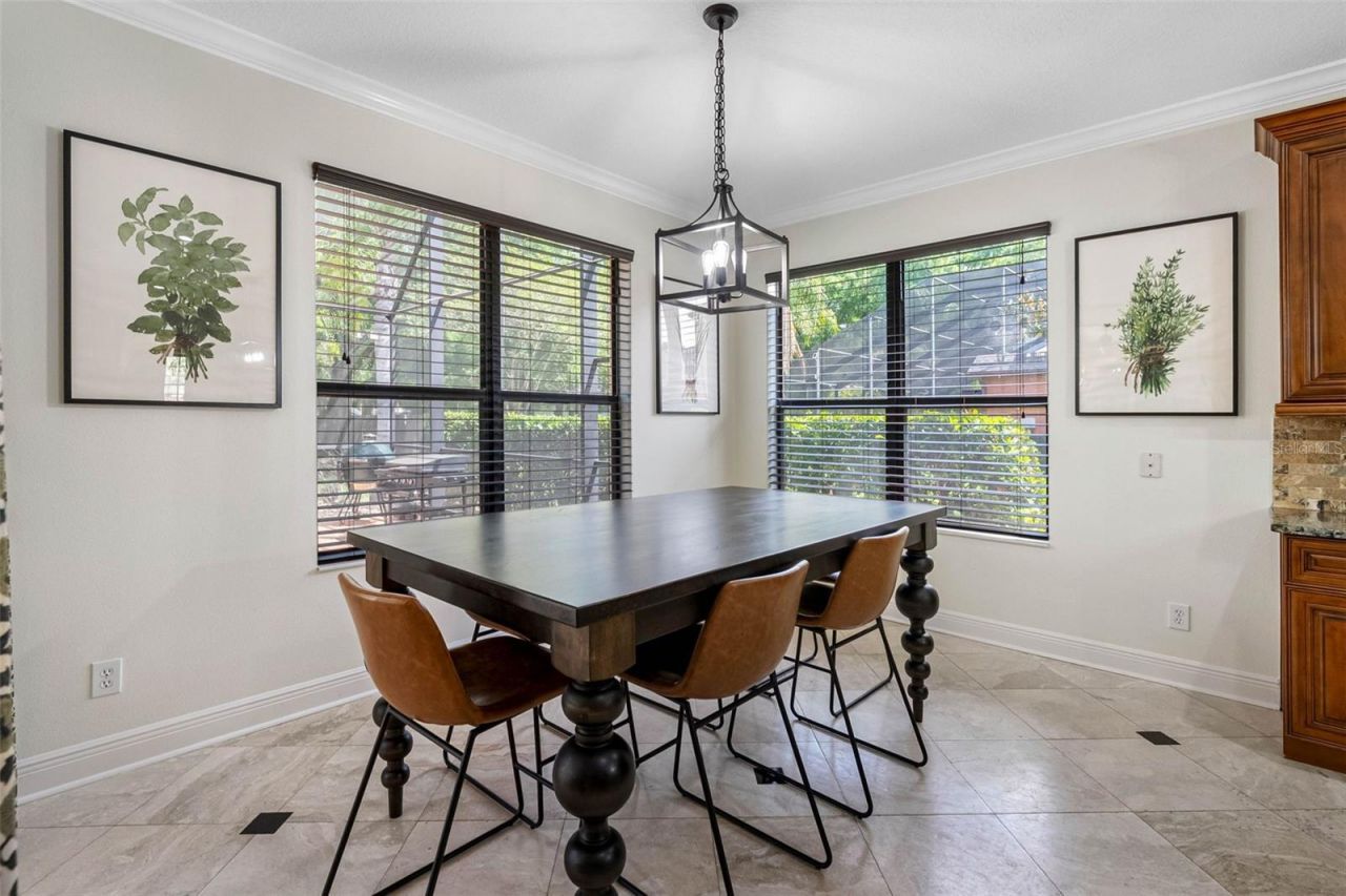 22425 Oakville Drive, Land O Lakes, FL 34639 Photo