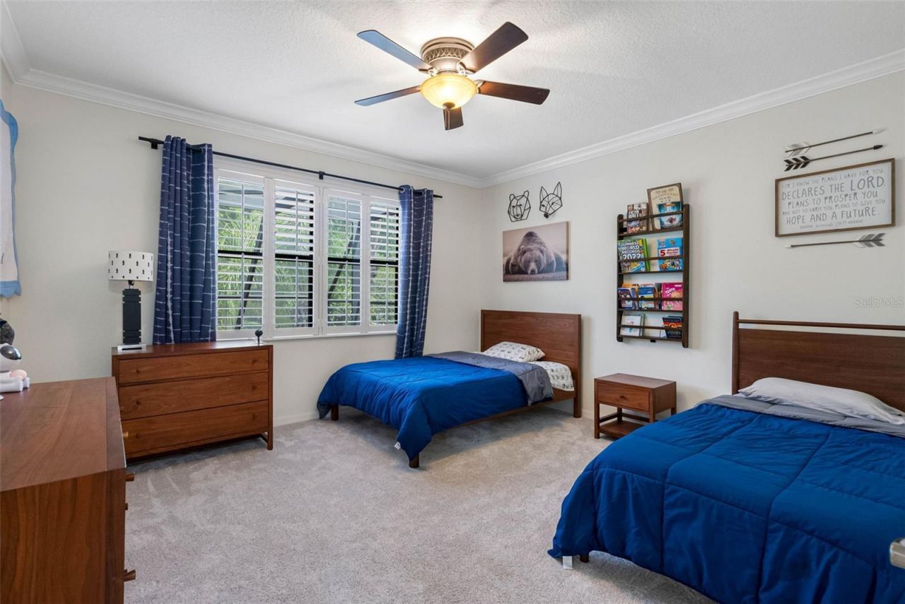 22425 Oakville Drive, Land O Lakes, FL 34639 Photo