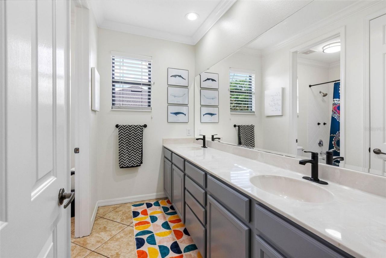 22425 Oakville Drive, Land O Lakes, FL 34639 Photo