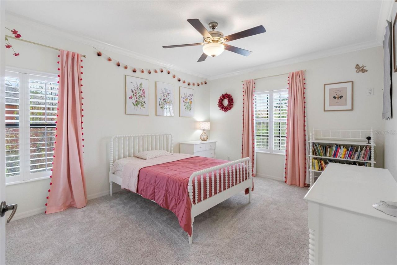 22425 Oakville Drive, Land O Lakes, FL 34639 Photo