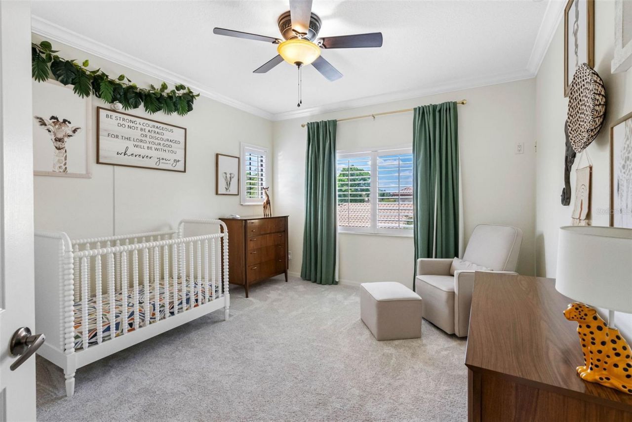 22425 Oakville Drive, Land O Lakes, FL 34639 Photo