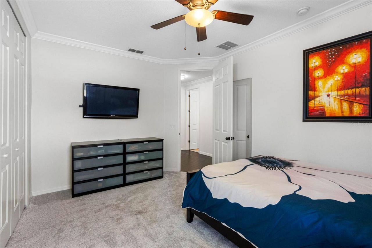 22425 Oakville Drive, Land O Lakes, FL 34639 Photo