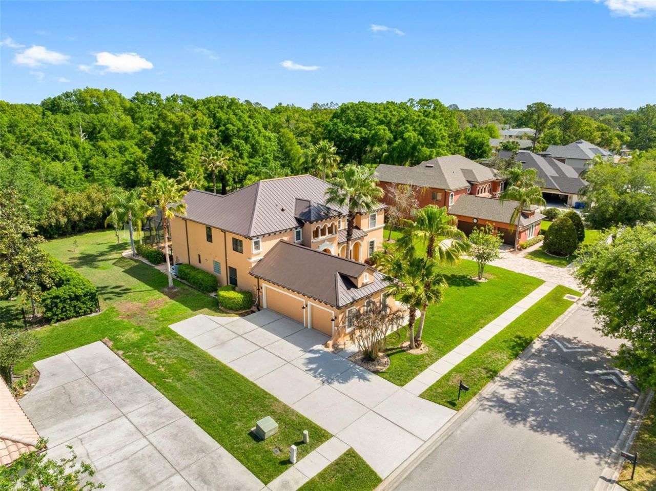 22425 Oakville Drive, Land O Lakes, FL 34639 Photo