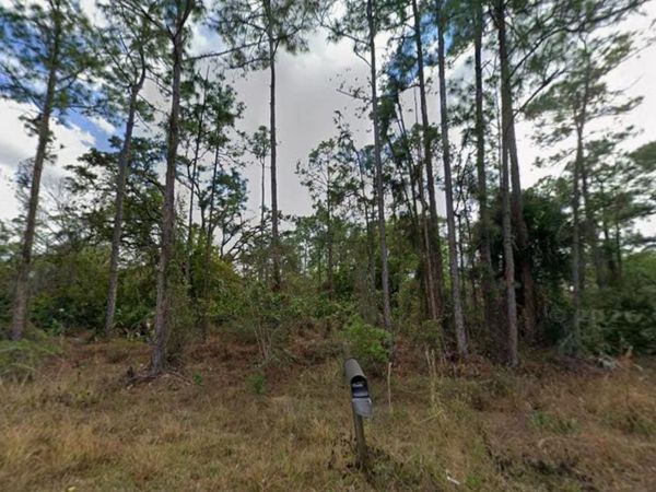 1210 RAPHIA STREET E, LEHIGH ACRES, FL 33974