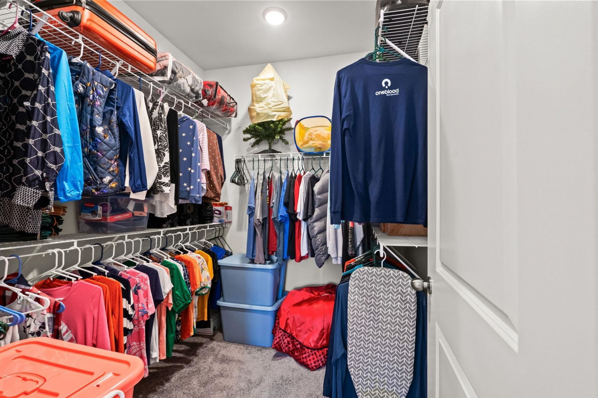 1272 Lady Bird Way Photo 19