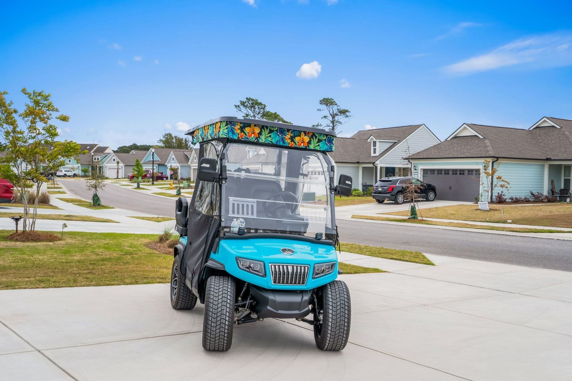 1272 Lady Bird Way Photo 35