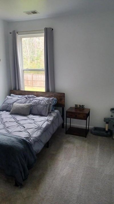 1740 Diving Duck Lane Photo 11