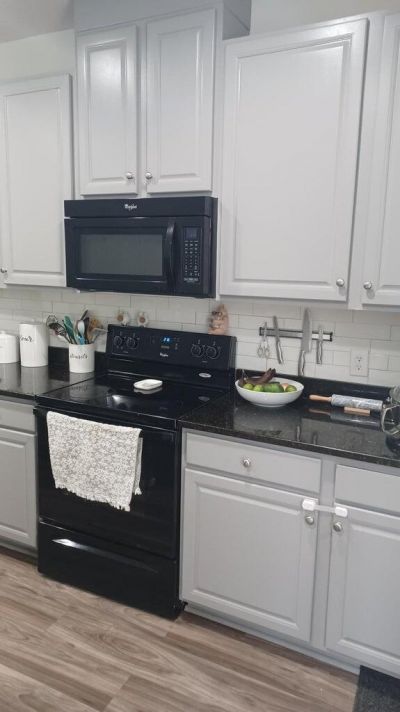 1740 Diving Duck Lane Photo 12