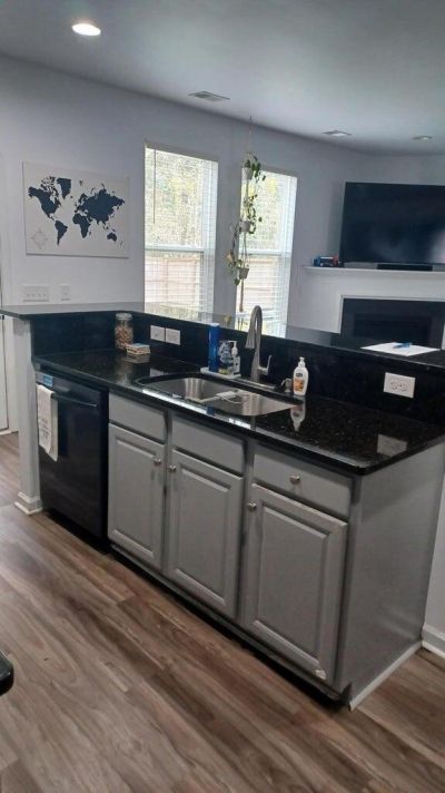 1740 Diving Duck Lane Photo 8