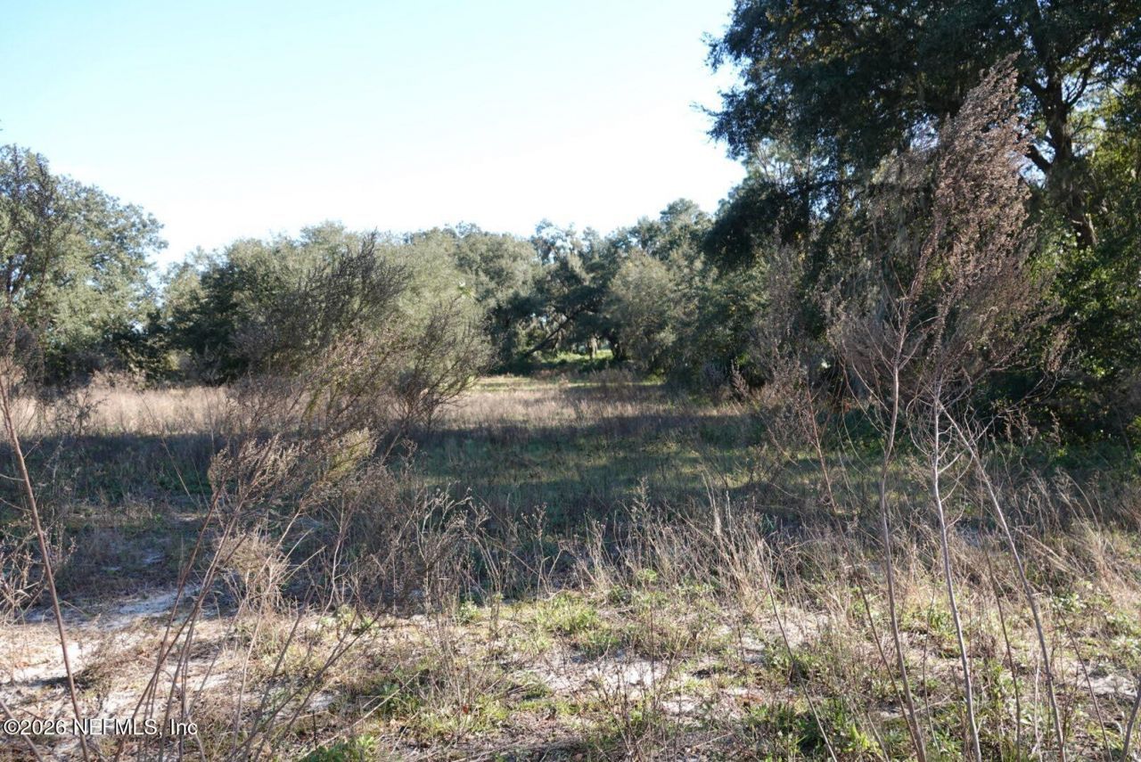 525 Raulerson Road, Seville, FL 32190 Photo