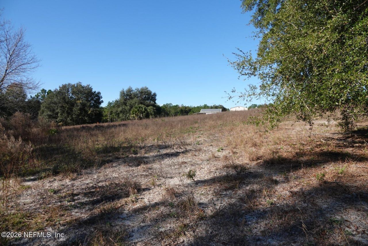 525 Raulerson Road, Seville, FL 32190 Photo