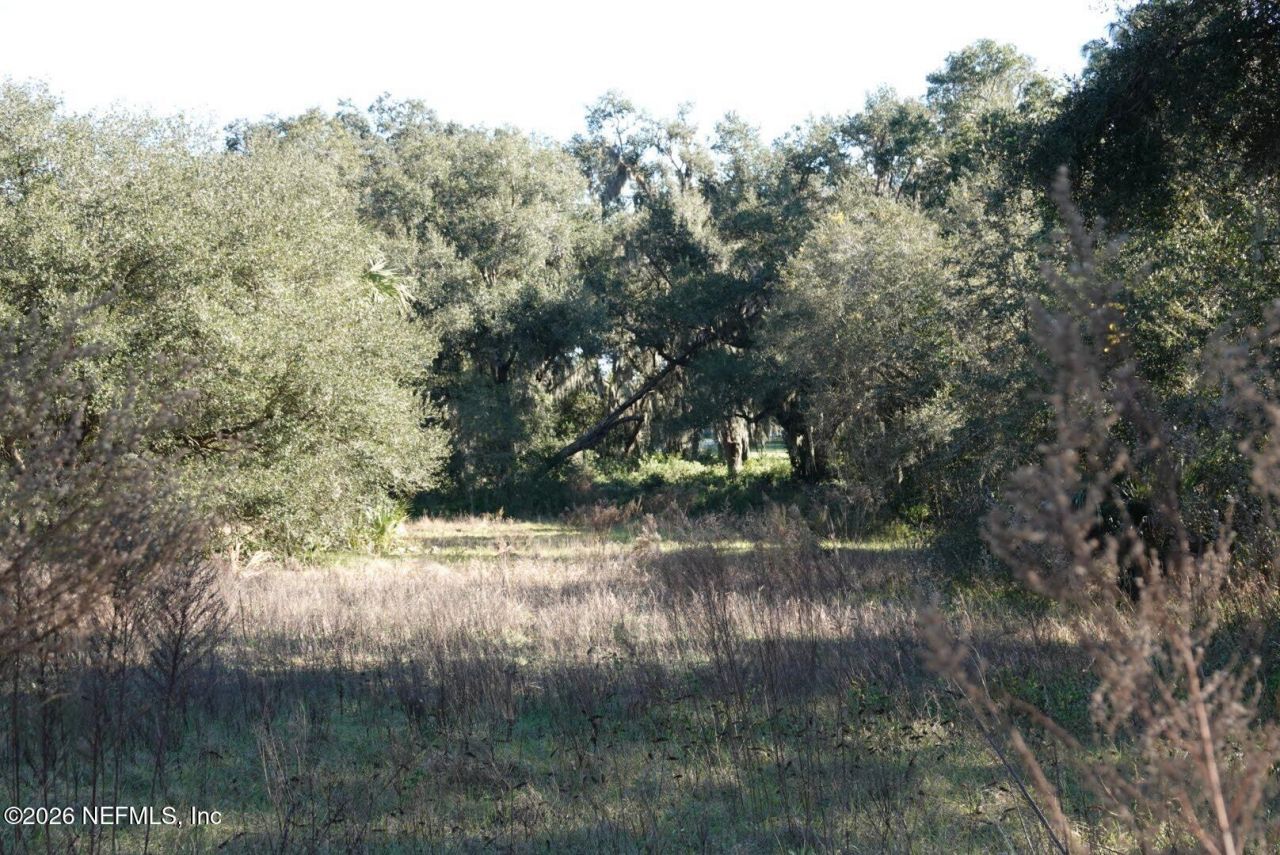 525 Raulerson Road, Seville, FL 32190 Photo