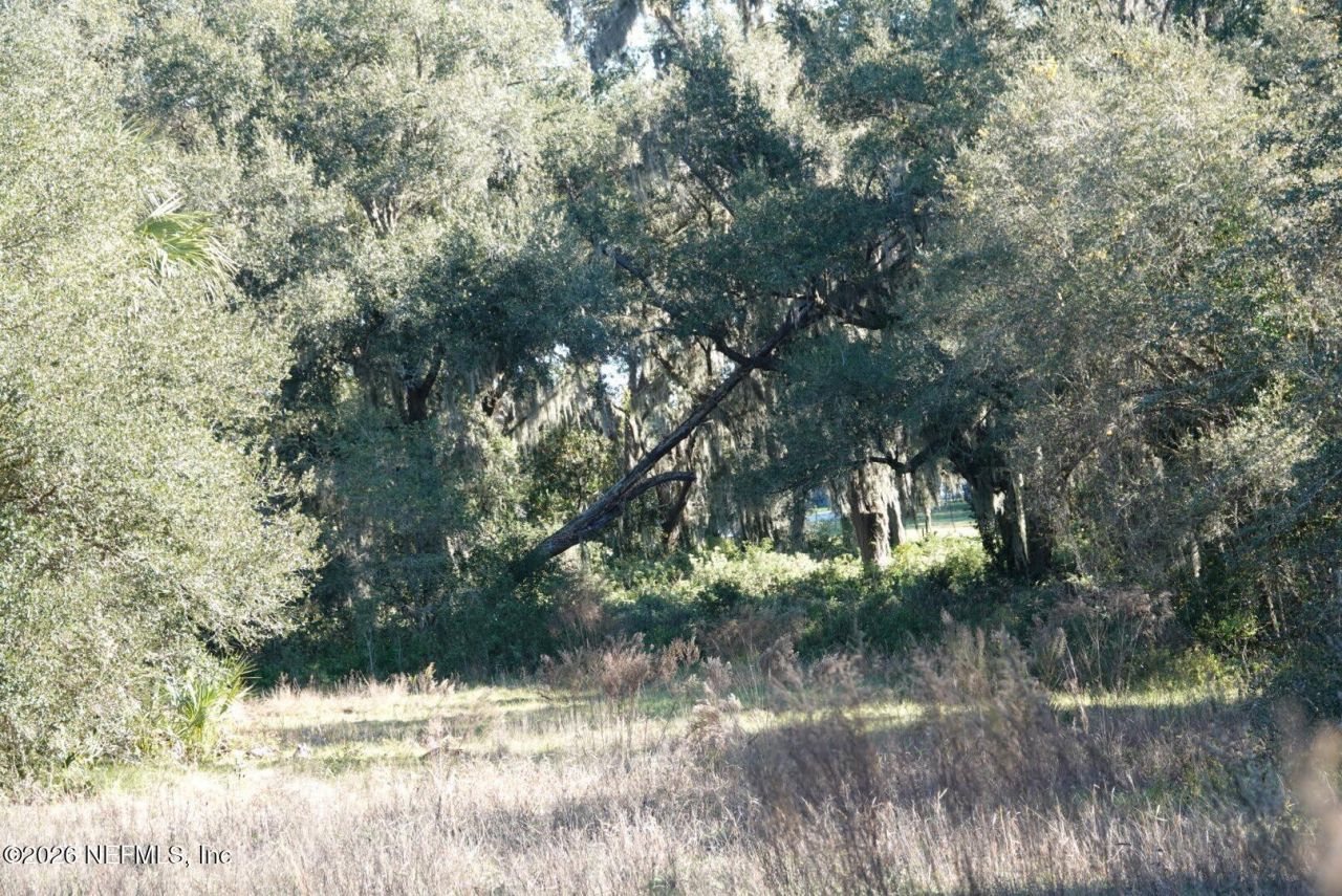 525 Raulerson Road, Seville, FL 32190 Photo