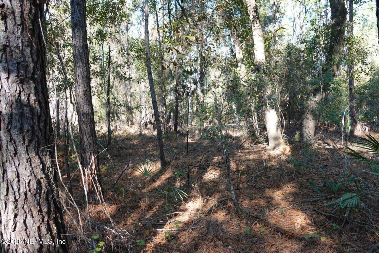 525 Raulerson Road, Seville, FL 32190 Photo