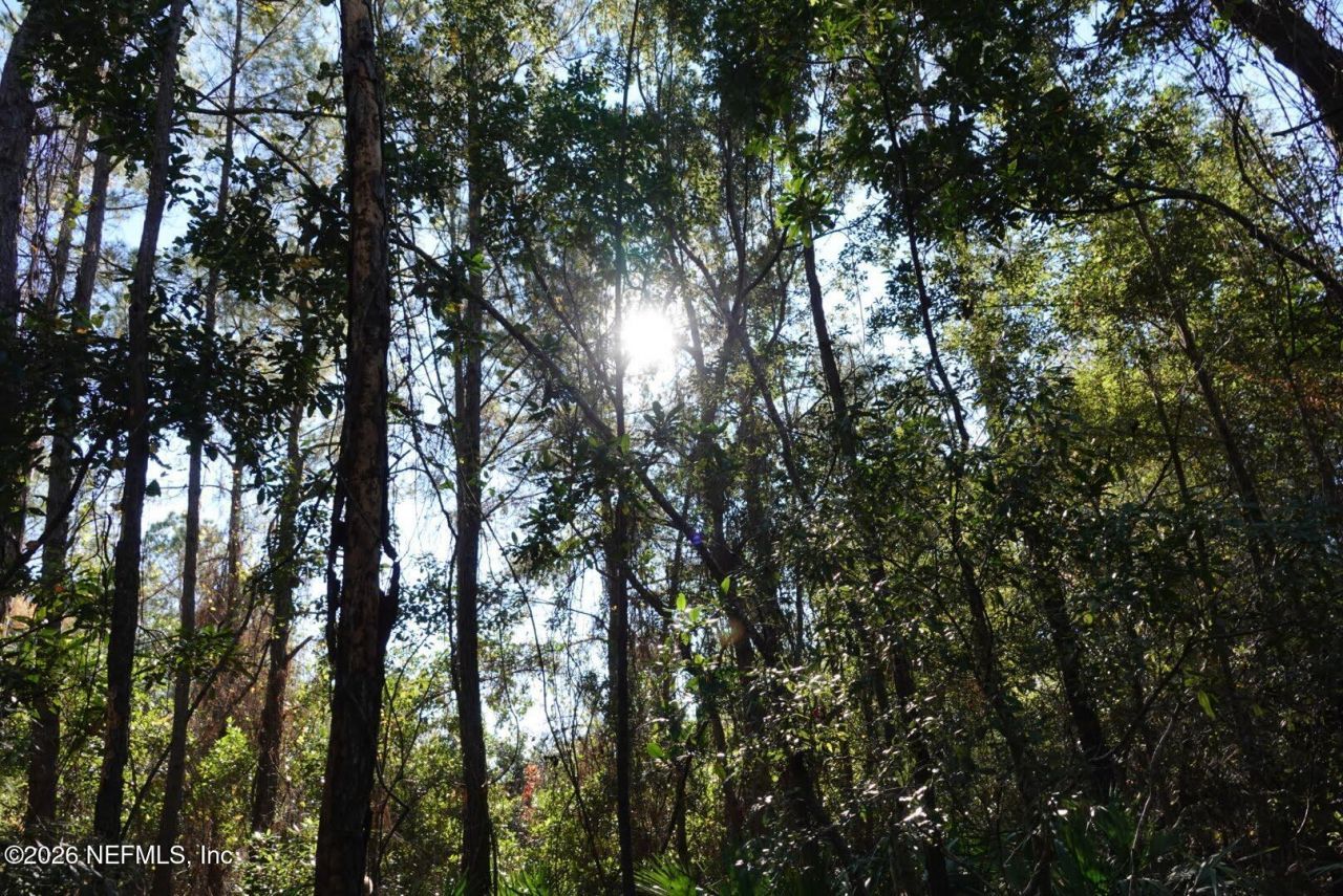 525 Raulerson Road, Seville, FL 32190 Photo