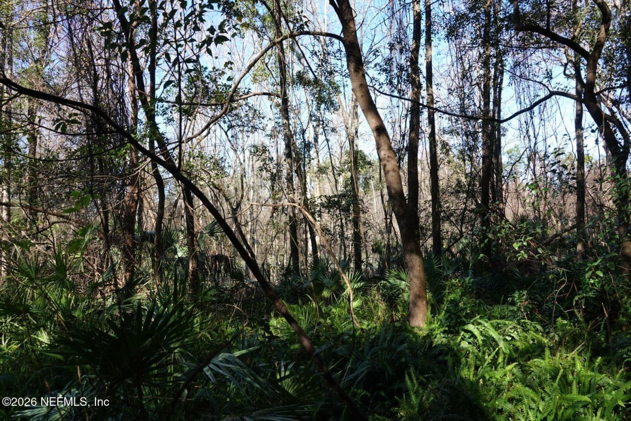 525 Raulerson Road, Seville, FL 32190 Photo