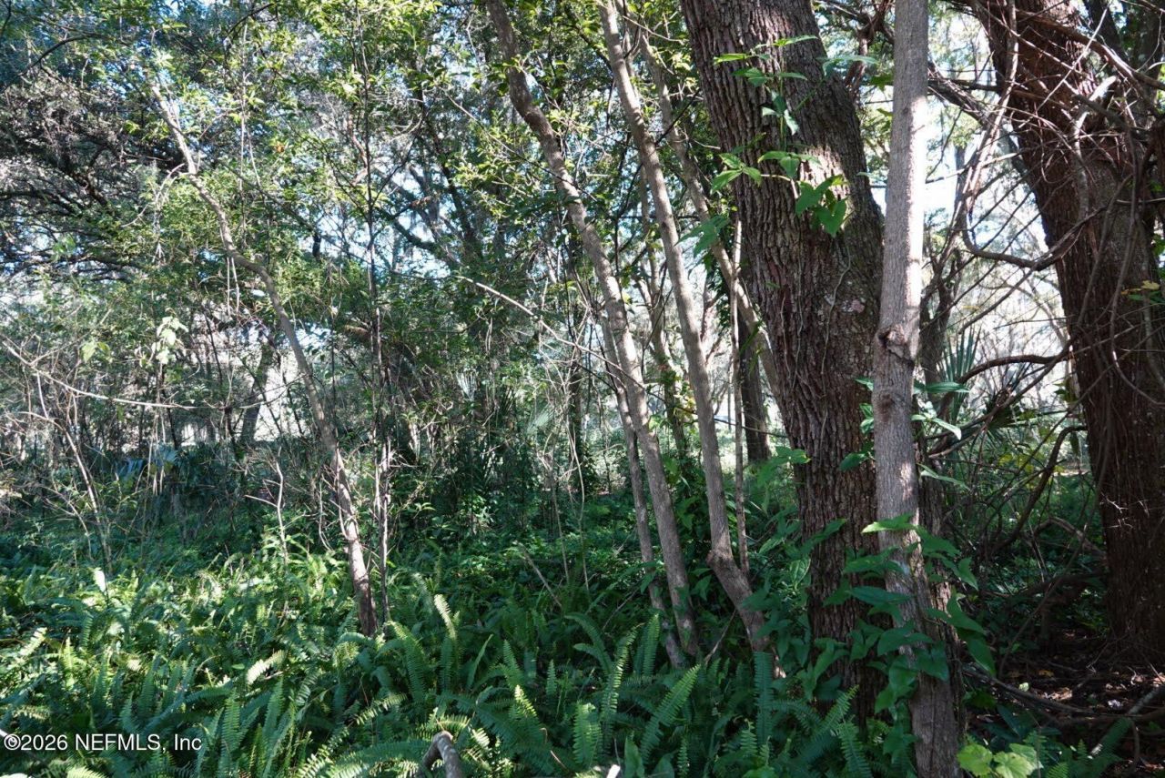 525 Raulerson Road, Seville, FL 32190 Photo