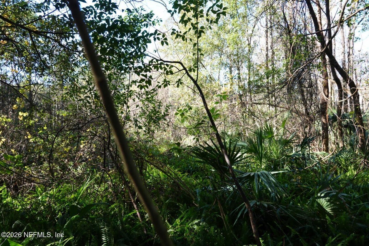 525 Raulerson Road, Seville, FL 32190 Photo