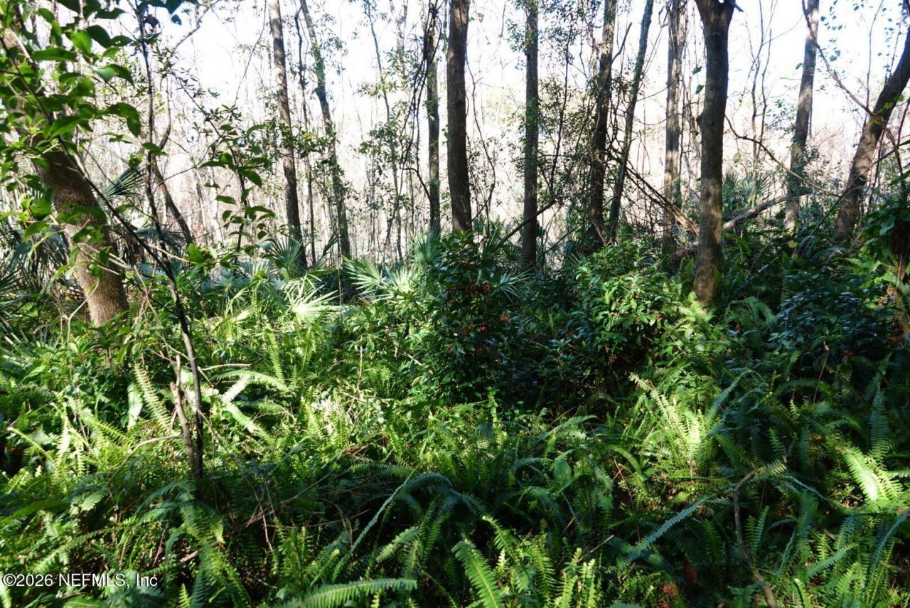 525 Raulerson Road, Seville, FL 32190 Photo