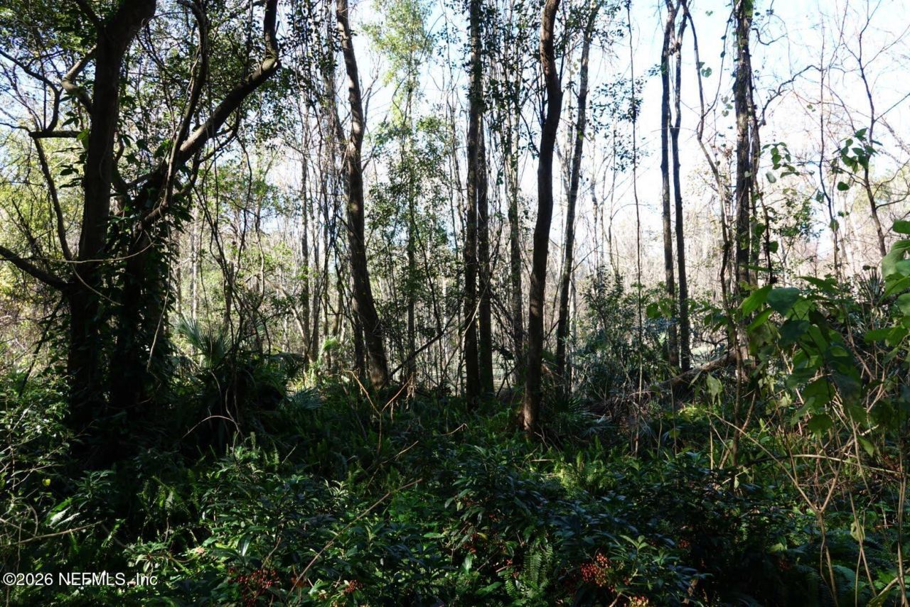 525 Raulerson Road, Seville, FL 32190 Photo