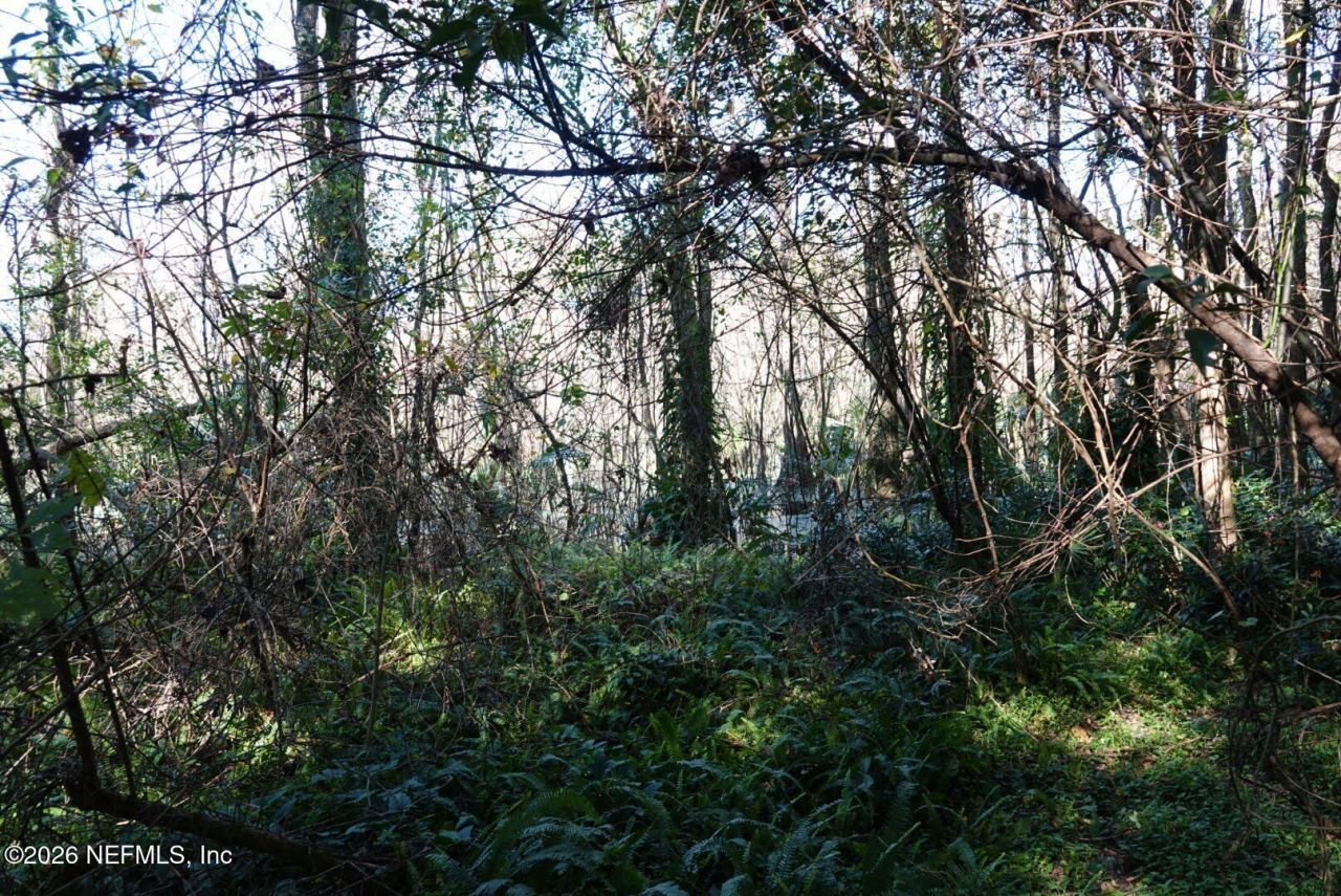 525 Raulerson Road, Seville, FL 32190 Photo