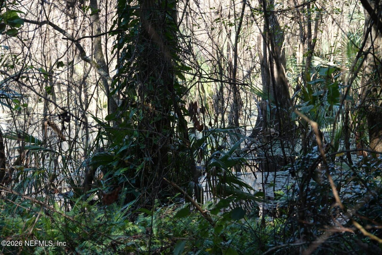 525 Raulerson Road, Seville, FL 32190 Photo