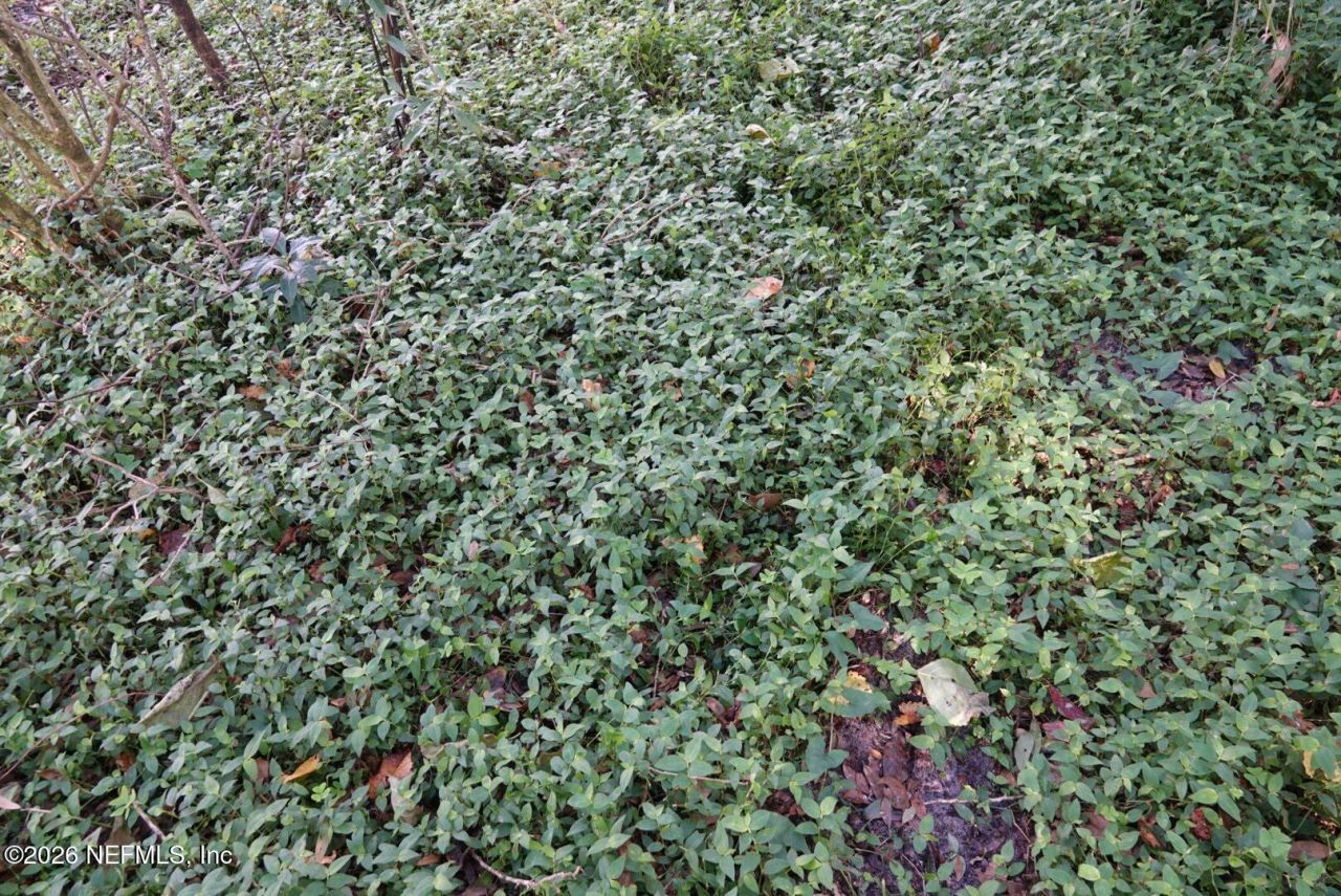 525 Raulerson Road, Seville, FL 32190 Photo